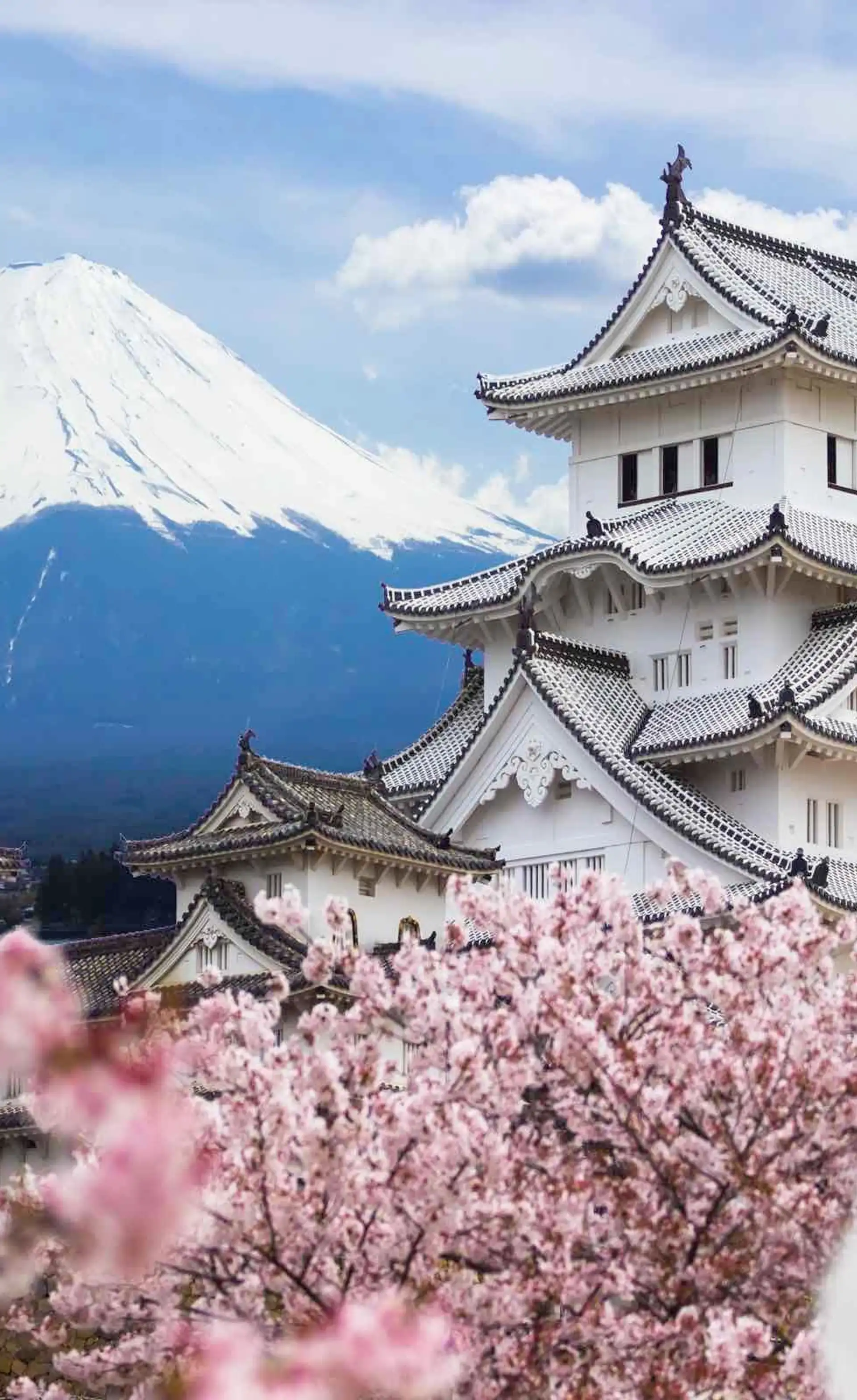 Burg Himeji und Berg Fuji mit Kirschblüten in Japan