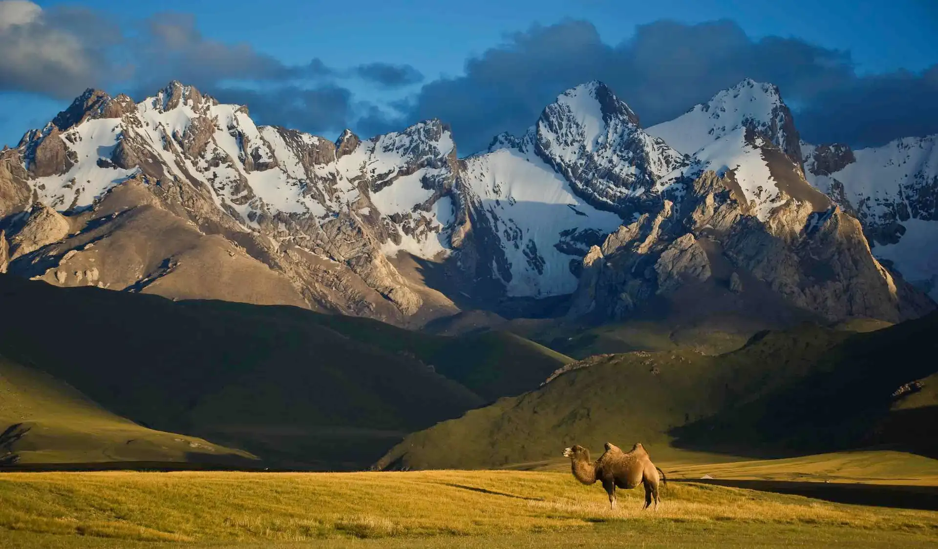 sommets rocheux majestueux et enneiges de la chaine de montagnes du tian shan dominant des plaines sauvages au kirghizistan