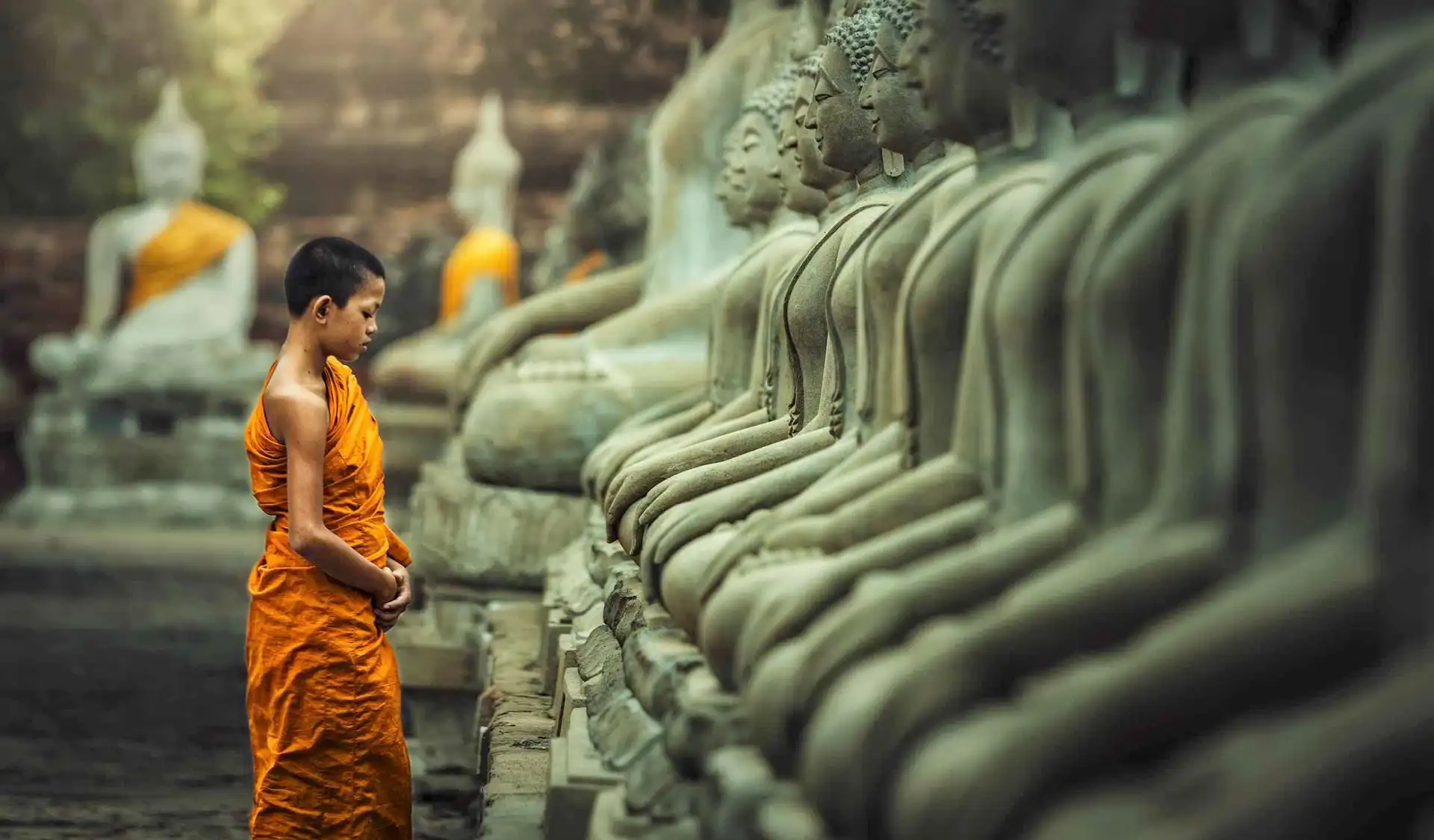 jeune moine bouddhiste en robe orange debout en recueillement devant une rangee de statues de bouddha en pierre au laos