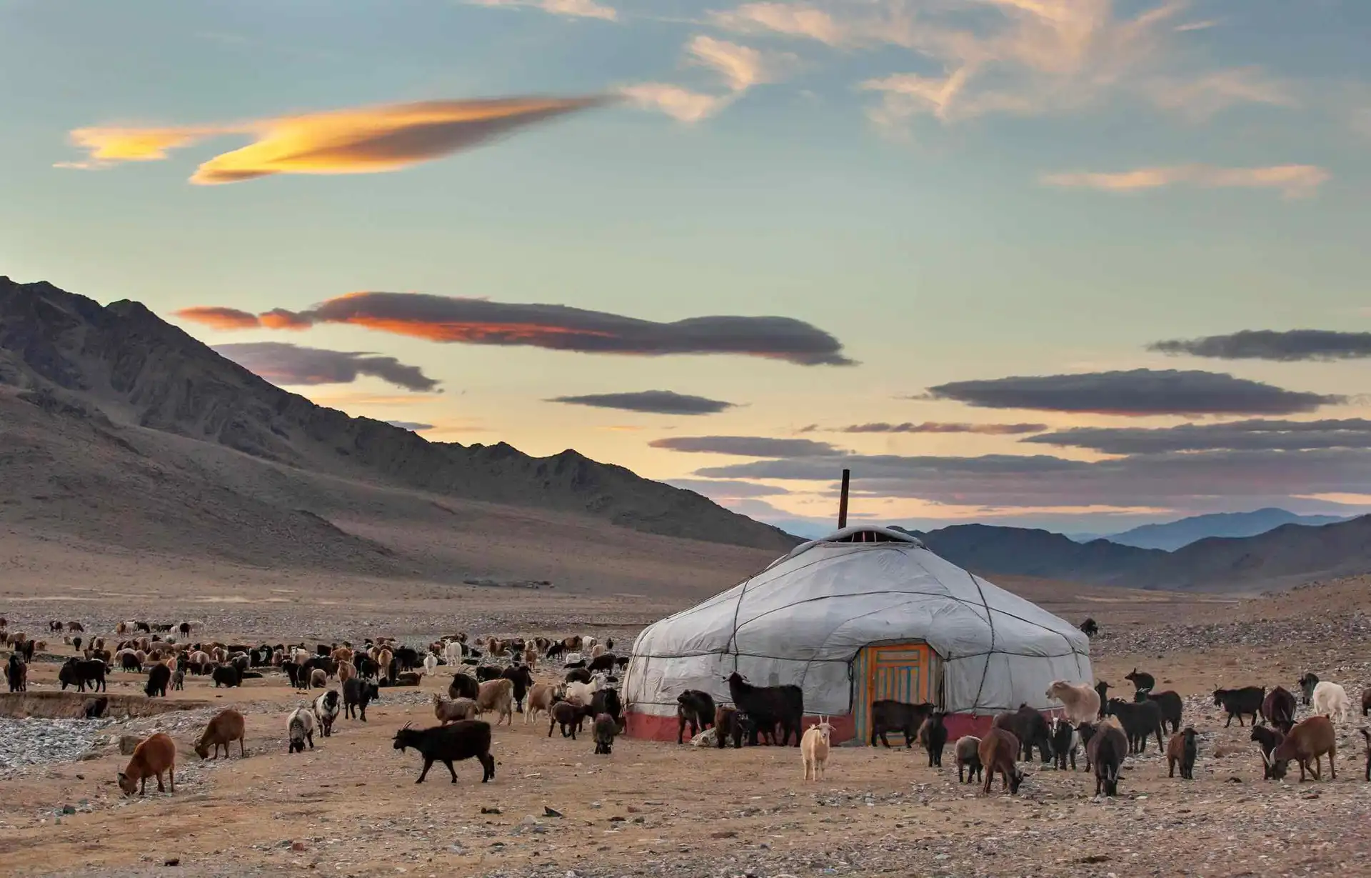 Travel guide Mongolia