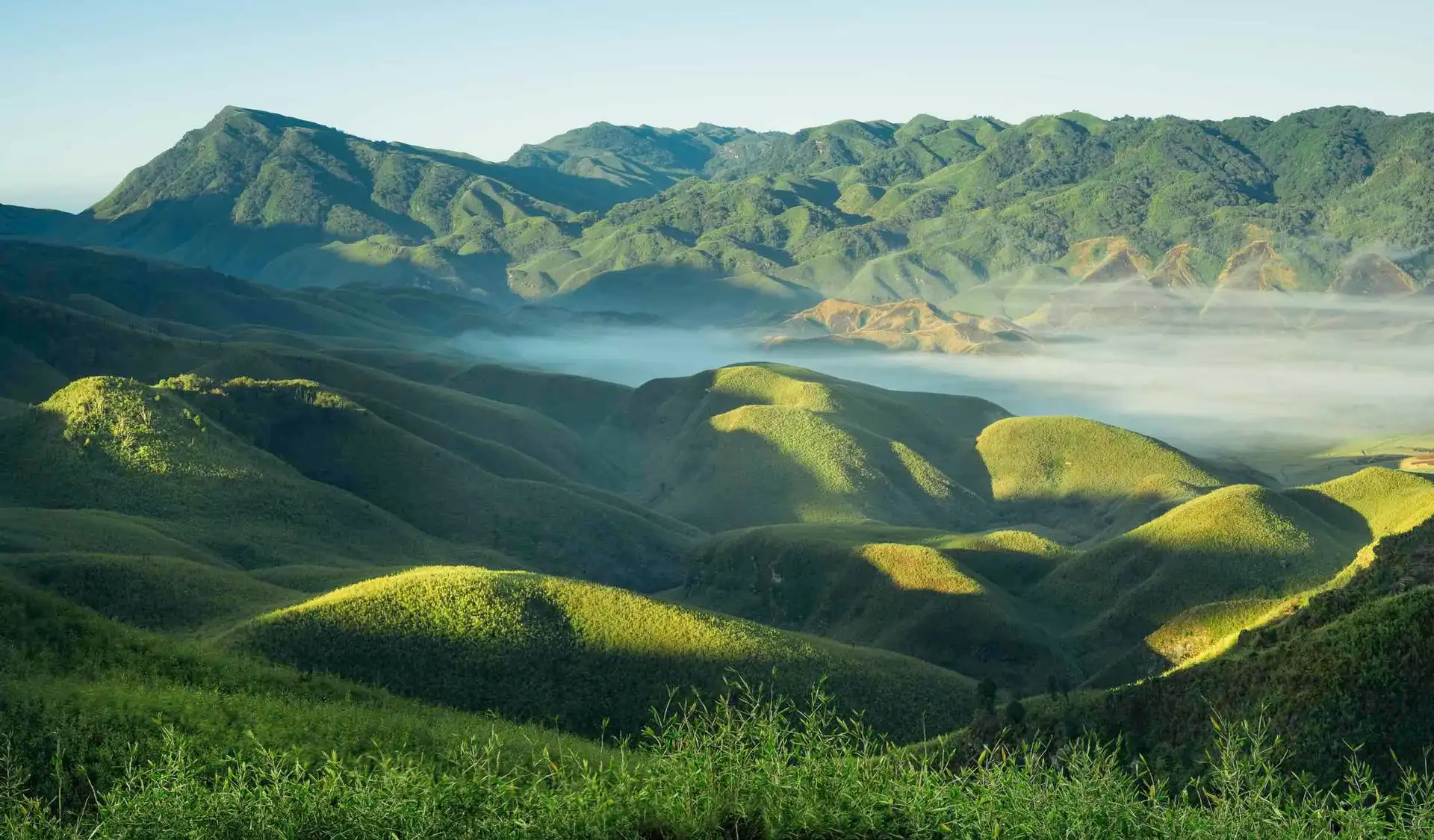 Travel in Asia - Rolling green hills in Northeast India