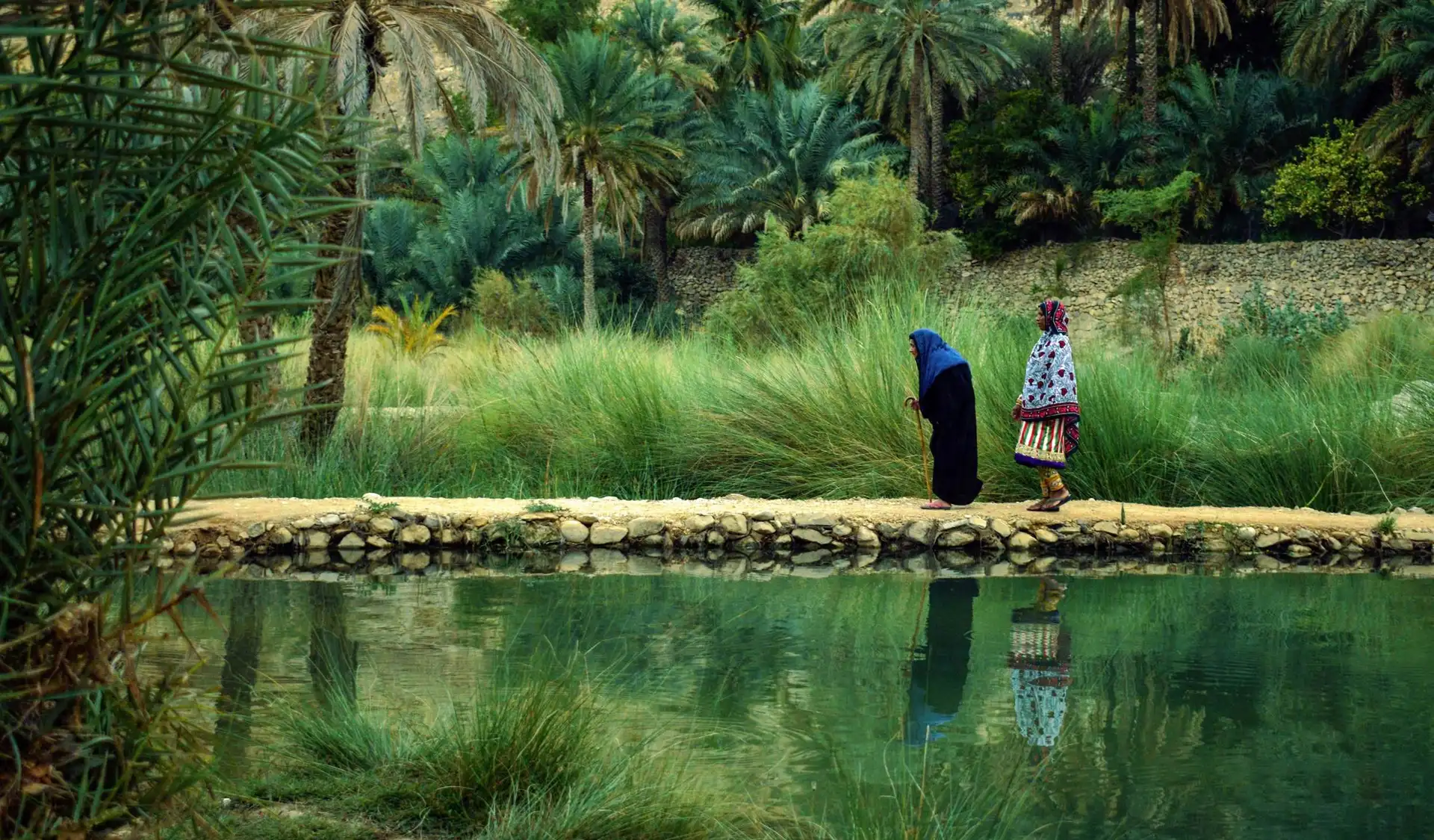deux personnes marchant le long d un sentier dans une oasis luxuriante avec des palmiers au bord d une eau verte a oman