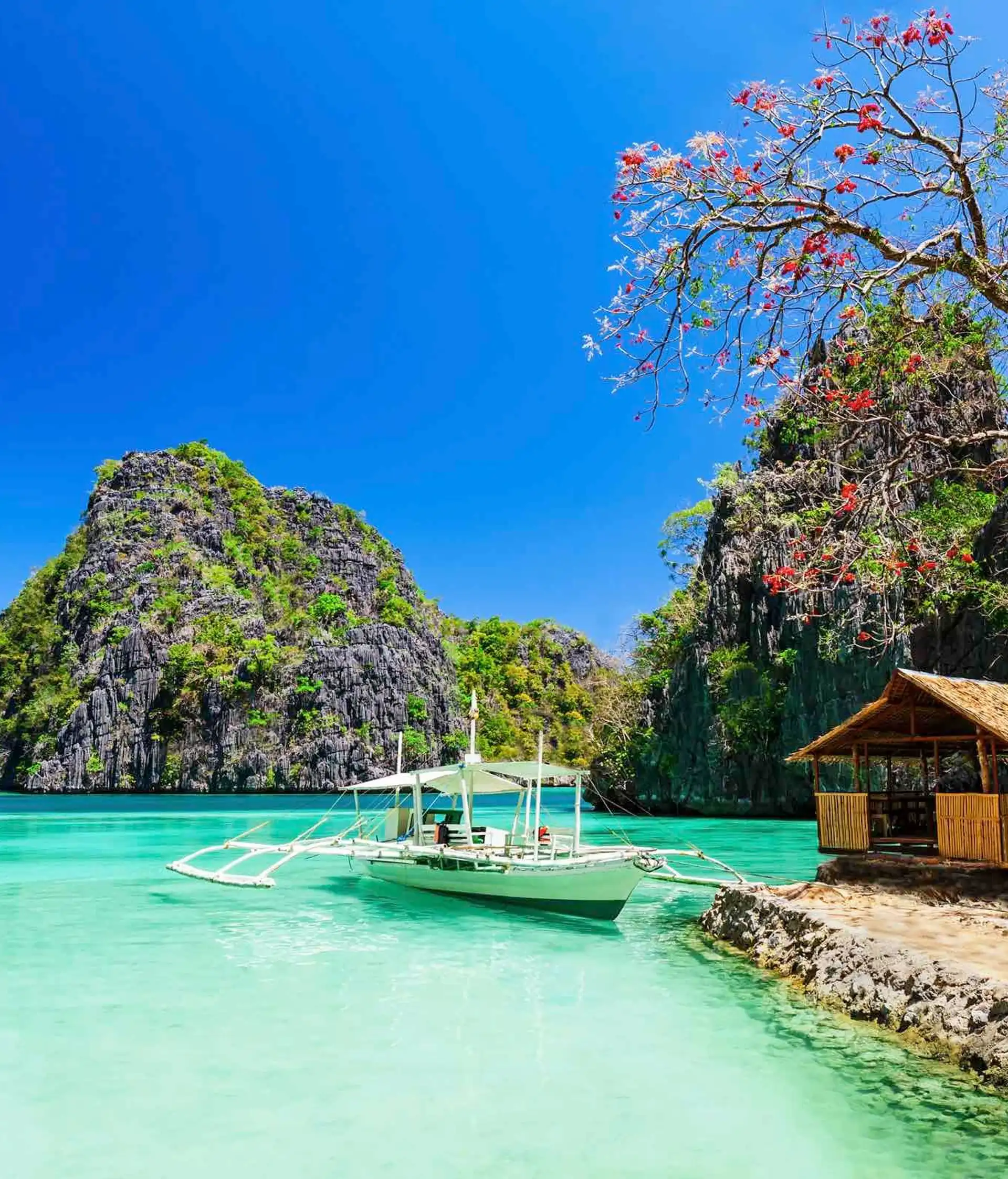voyage-philippines