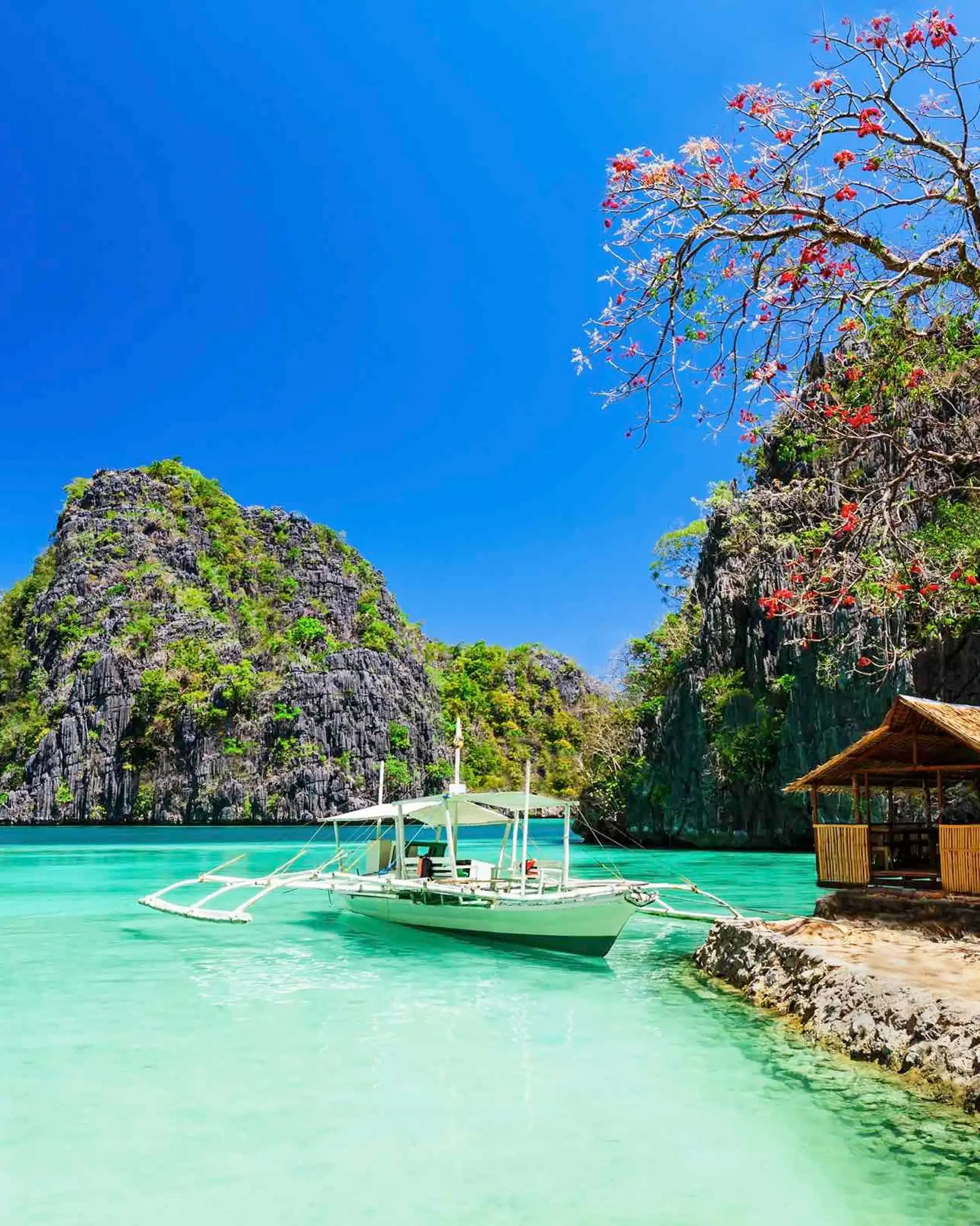 voyage-philippines