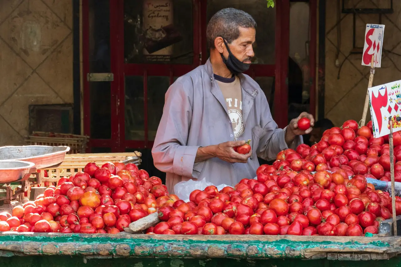 Un vendeur égyptien sélectionne des tomates rouges sur son étal traditionnel en bois