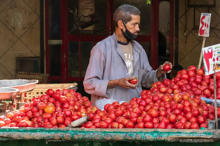 Un vendeur égyptien sélectionne des tomates rouges sur son étal traditionnel en bois