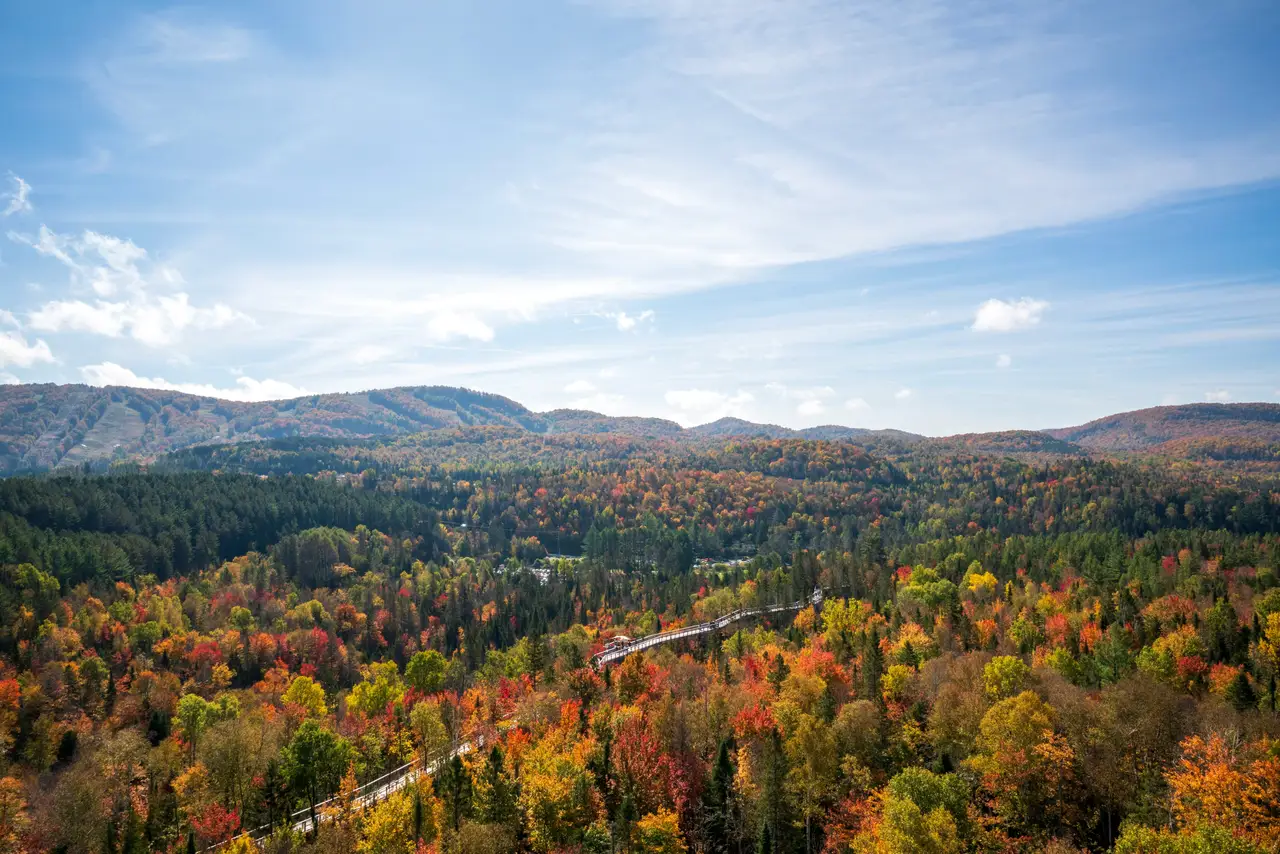 Vue panoramique sur la vaste forêt boréale aux teintes d'automne s'étendant vers les monts Chic-Chocs sous un ciel bleu à Sainte-Anne-des-Monts