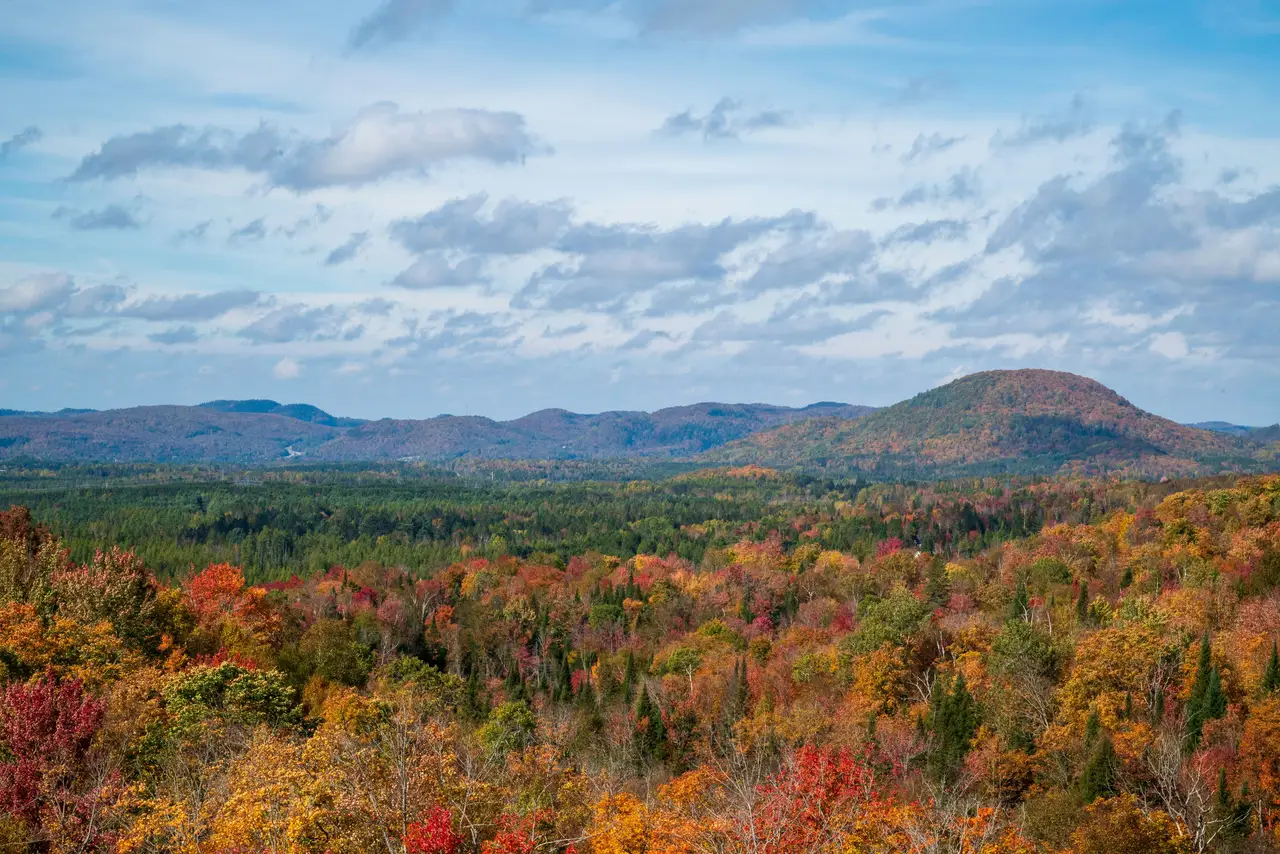 Panoramique sur une vaste forêt aux couleurs d'automne et collines ondulées sous un ciel nuageux au Mont-Tremblant