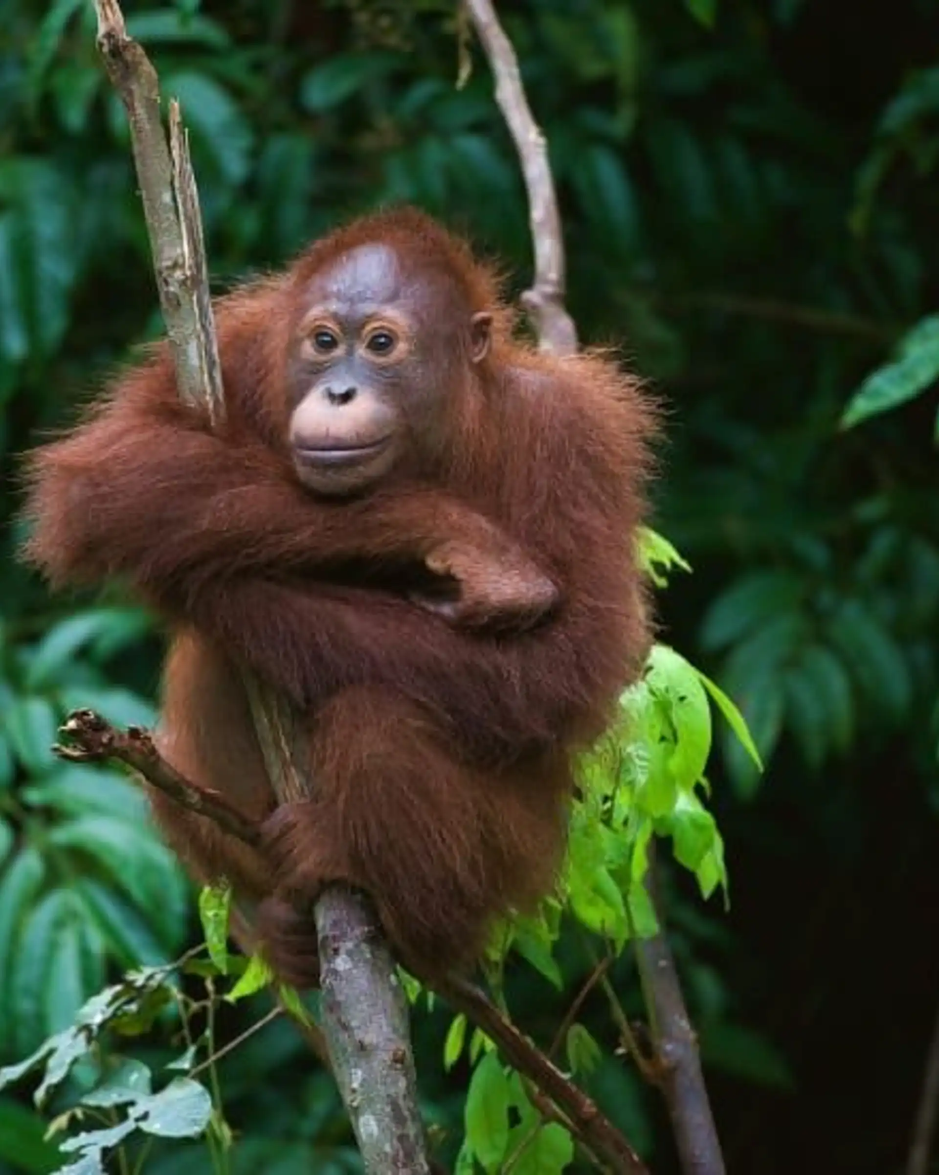 entspannung-natur-und-tierbegegnungen