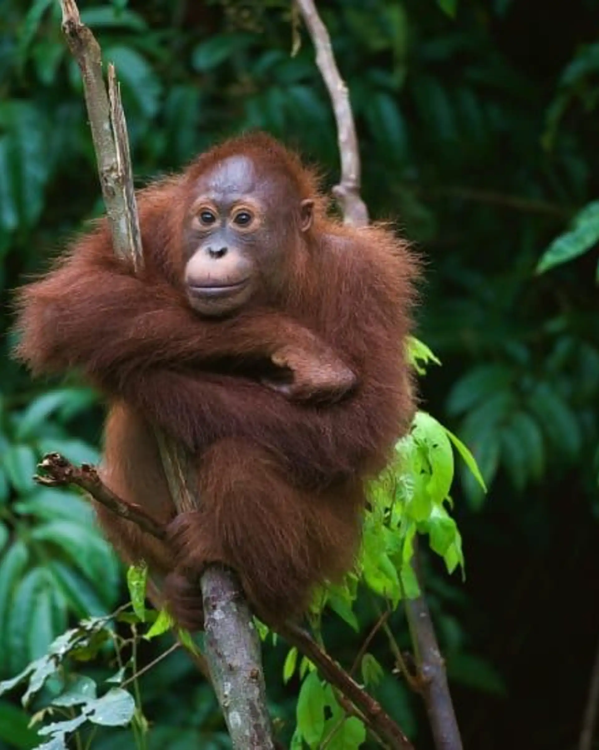 entspannung-natur-und-tierbegegnungen