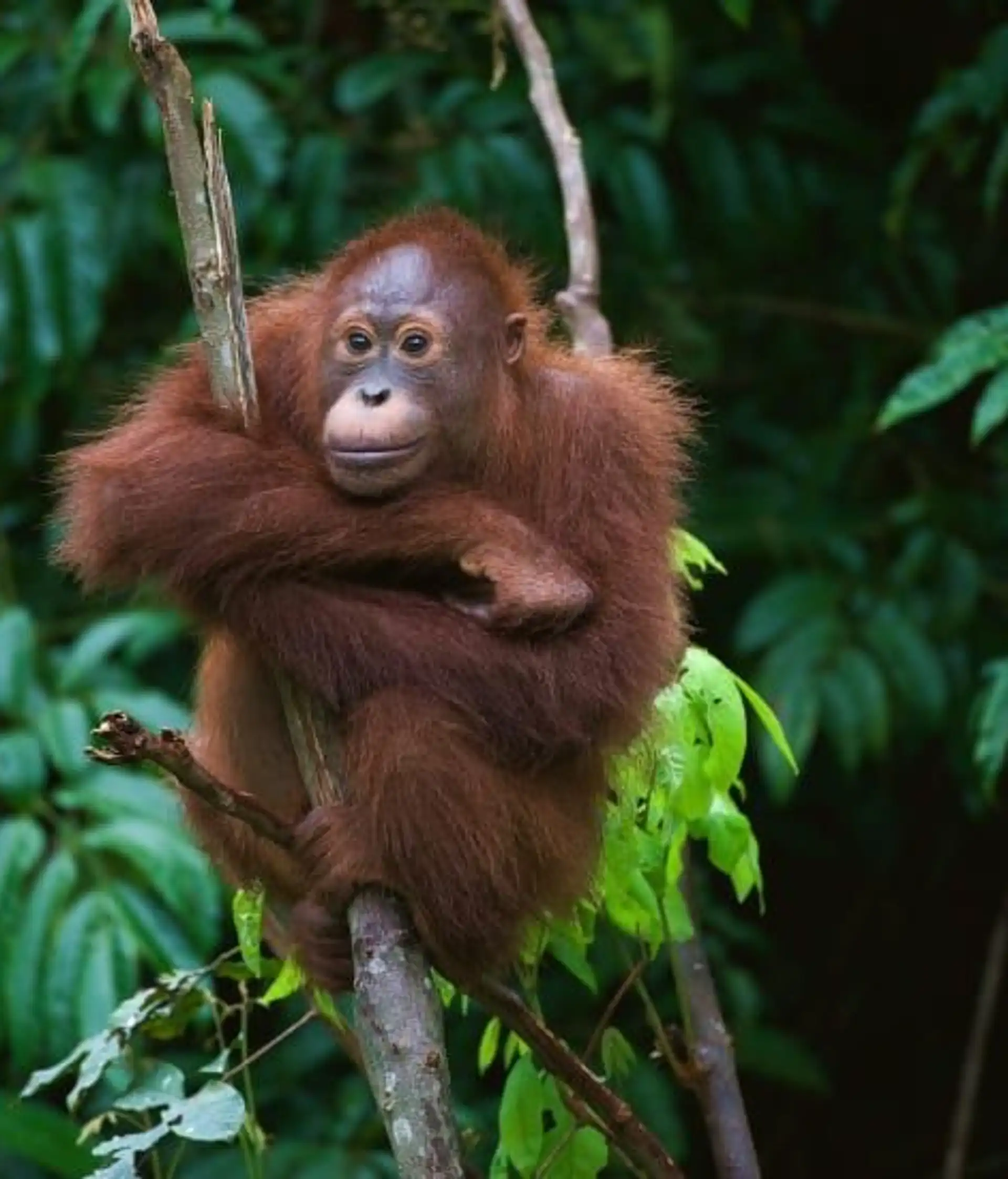 entspannung-natur-und-tierbegegnungen