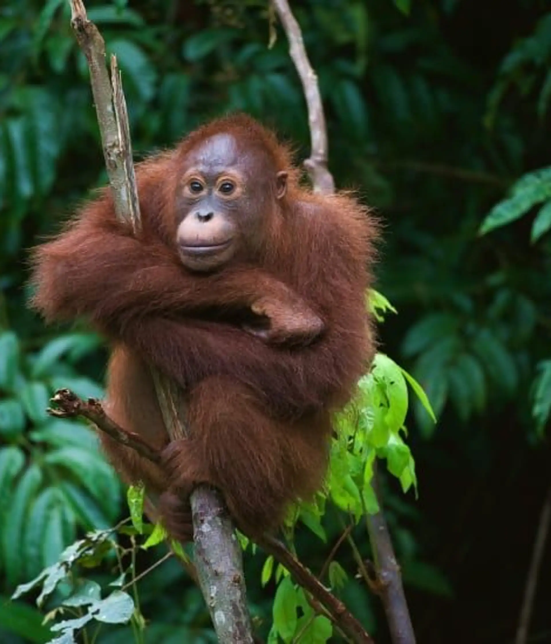 entspannung-natur-und-tierbegegnungen
