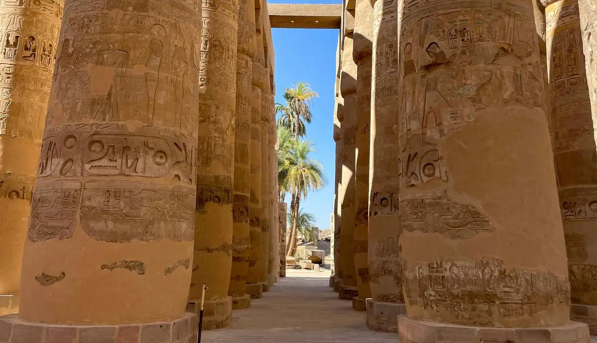 Les colonnes monumentales gravées de hiéroglyphes de la salle hypostyle du temple de Karnak encadrant un palmier
