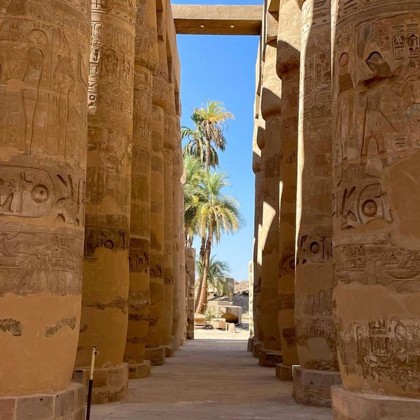 Les colonnes monumentales gravées de hiéroglyphes de la salle hypostyle du temple de Karnak encadrant un palmier