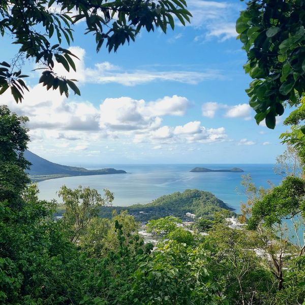 Vue panoramique sur l'océan turquoise depuis le belvédère Rex Lookout