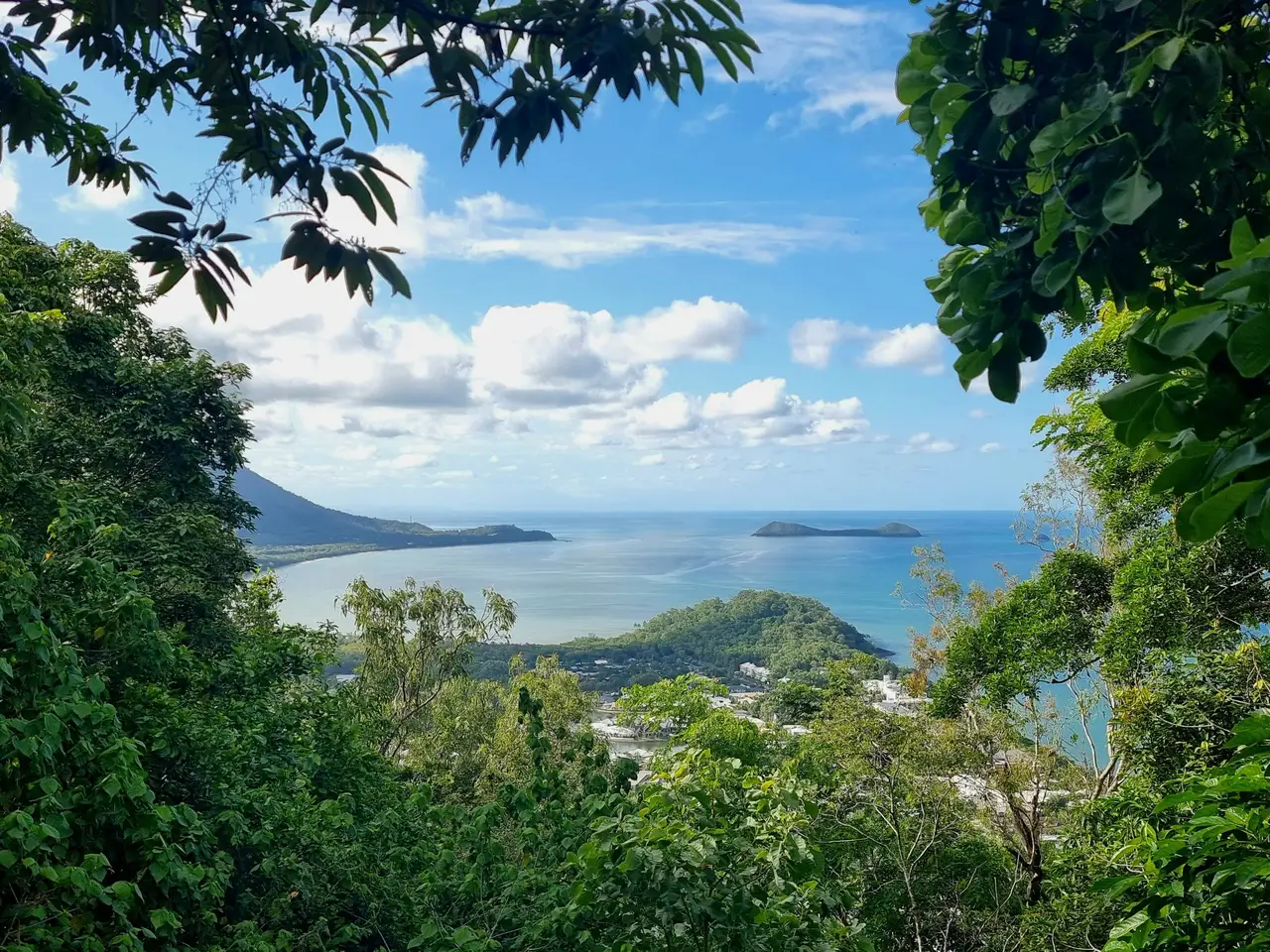 Vue panoramique sur l'océan turquoise depuis le belvédère Rex Lookout