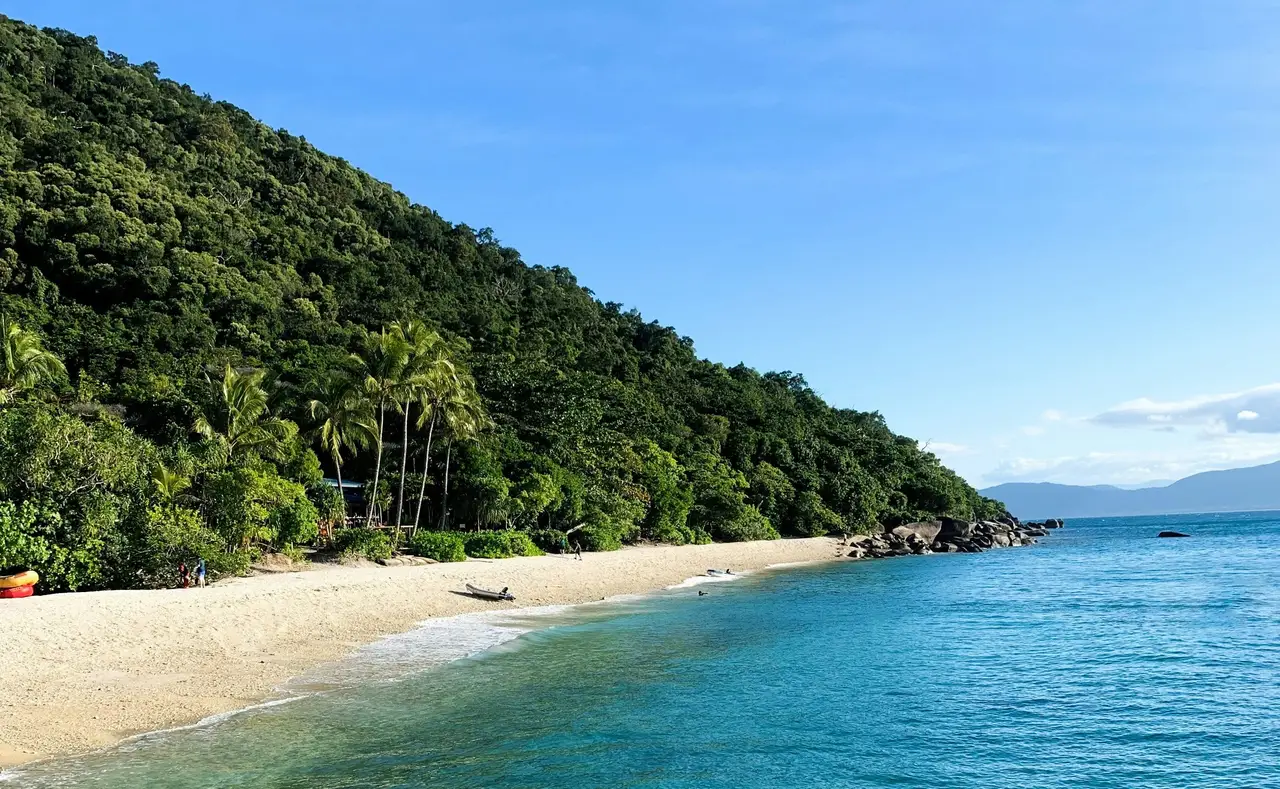Plage de sable blanc bordée par une forêt tropicale dense à Cairns