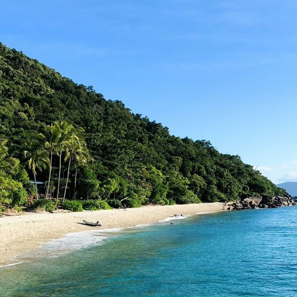 Plage de sable blanc bordée par une forêt tropicale dense à Cairns