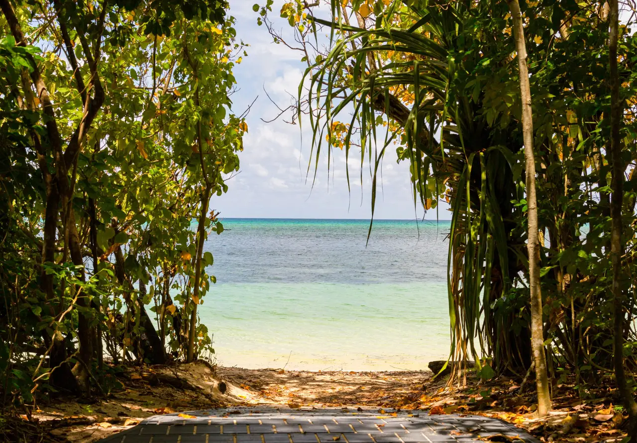 Sentier ombragé menant vers une plage aux eaux turquoise cristallines