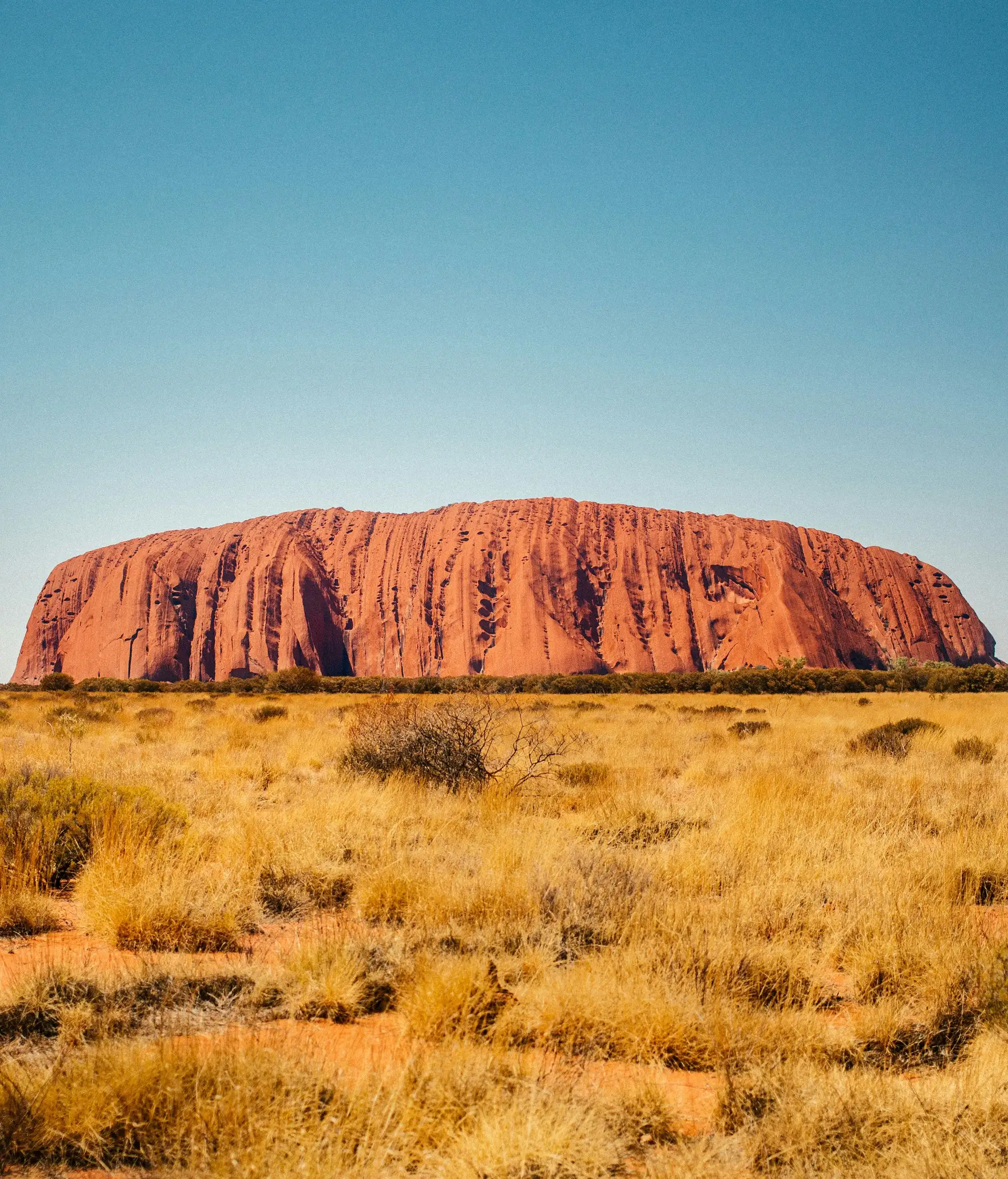 Panorama sauvage sur l'imposant monolithe rouge d'Uluru, symbole australien
