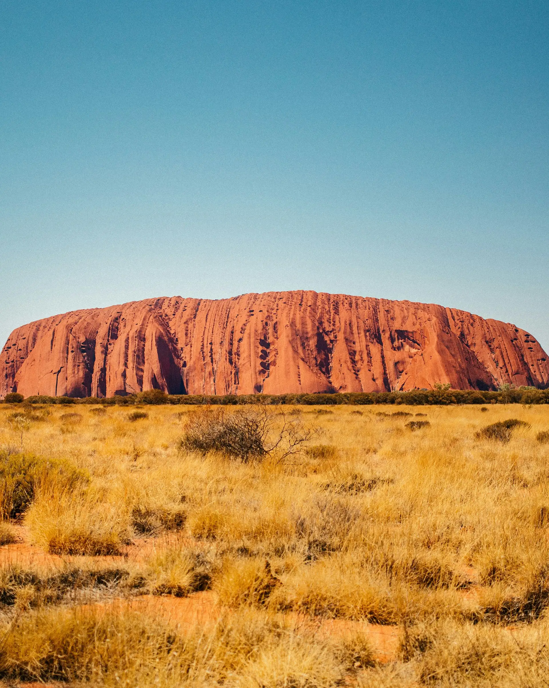 Panorama sauvage sur l'imposant monolithe rouge d'Uluru, symbole australien