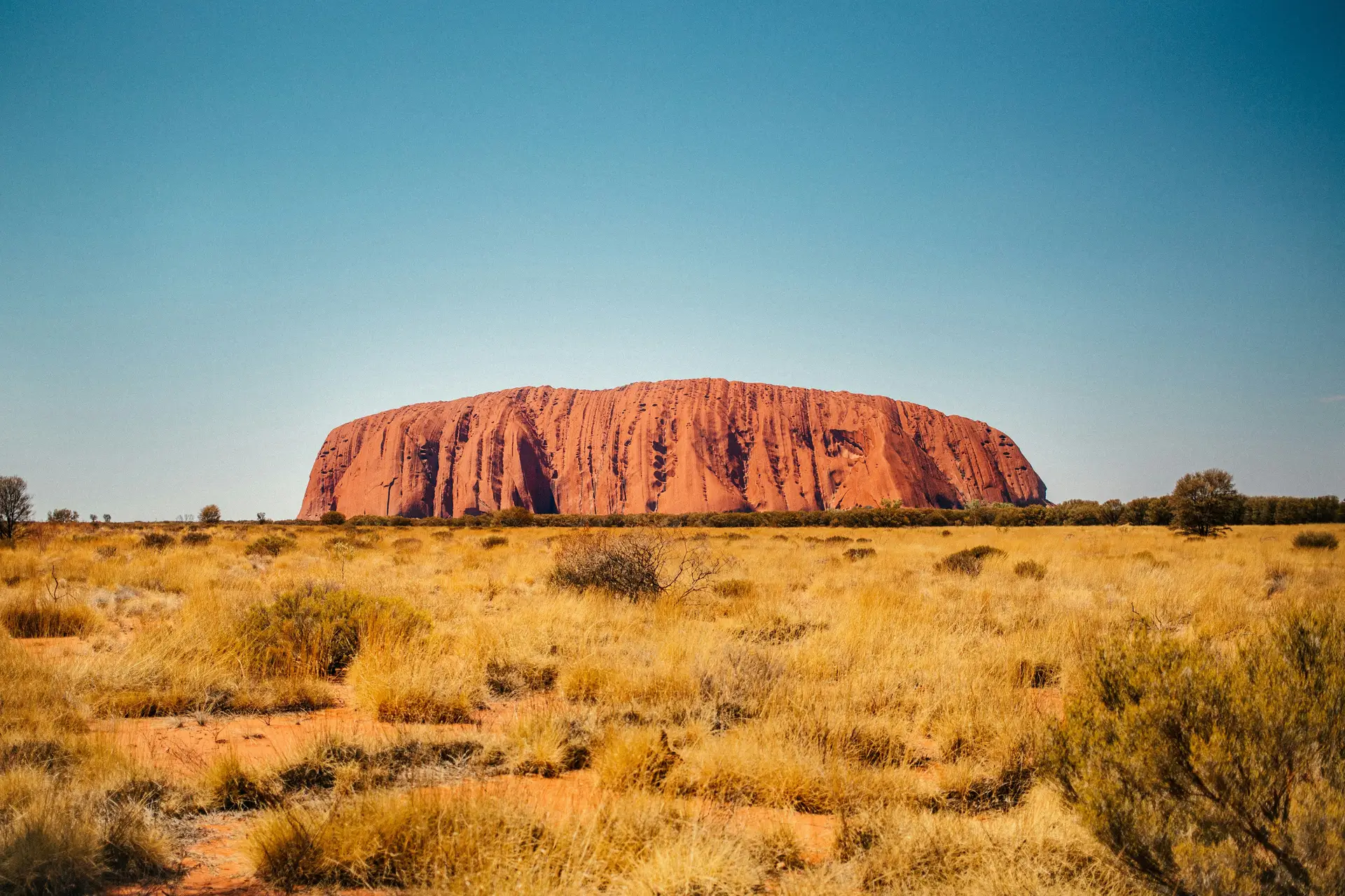 Panorama sauvage sur l'imposant monolithe rouge d'Uluru, symbole australien