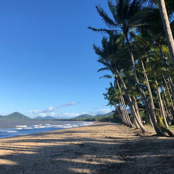 Plage de Palm Cove bordée de cocotiers face à l'océan