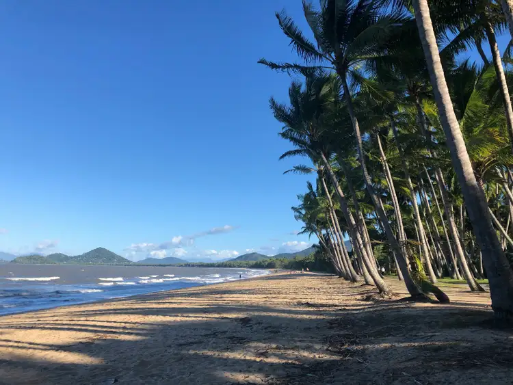 Plage de Palm Cove bordée de cocotiers face à l'océan