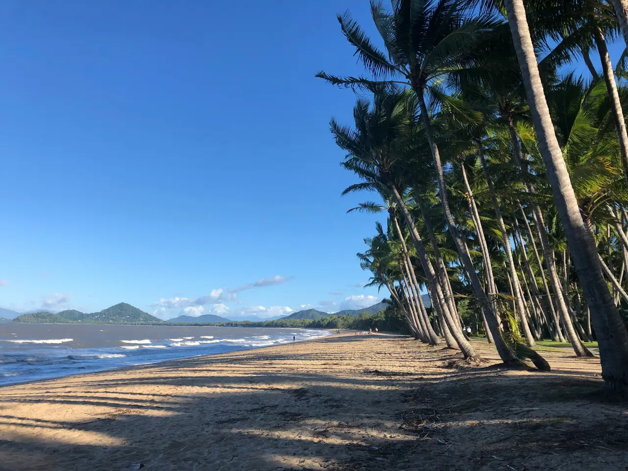 Plage de Palm Cove bordée de cocotiers face à l'océan
