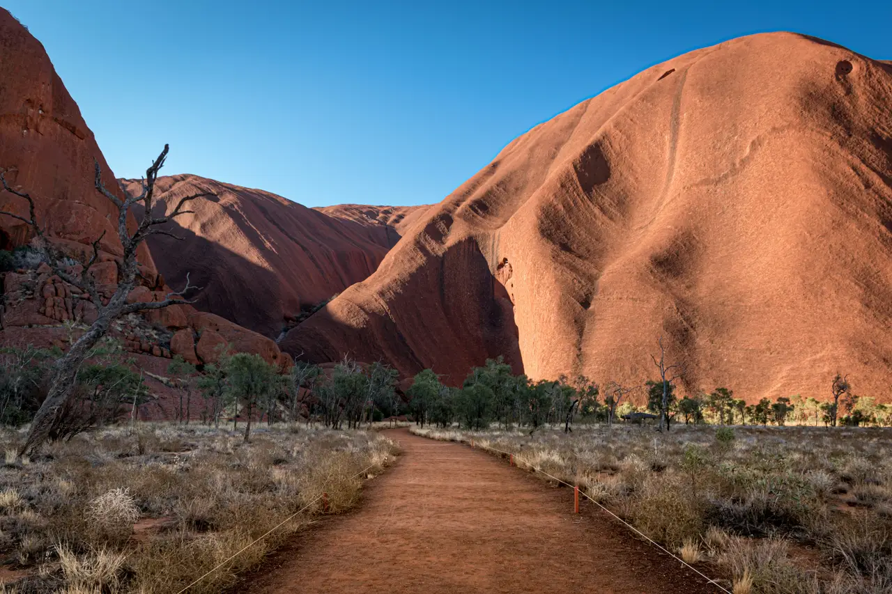 Sentier de randonnée bordé de nature sauvage à la base d'Uluru