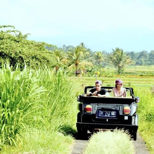 highlights von ubud in einem vw cabrio tour