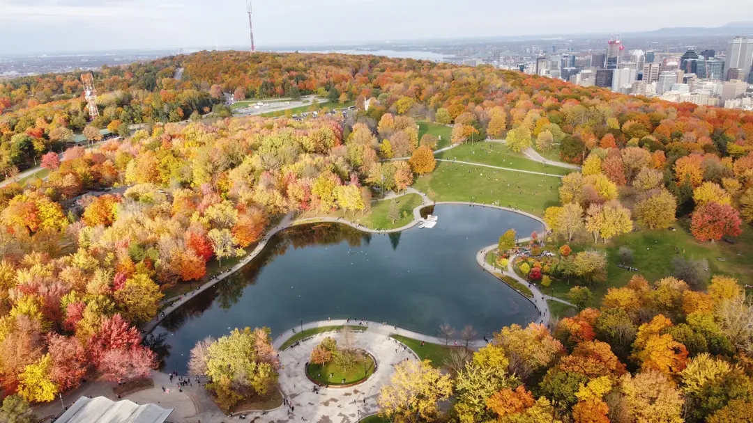 Feuillage d’automne autour d’un étang dans le parc du Mont-Royal, à Montréal