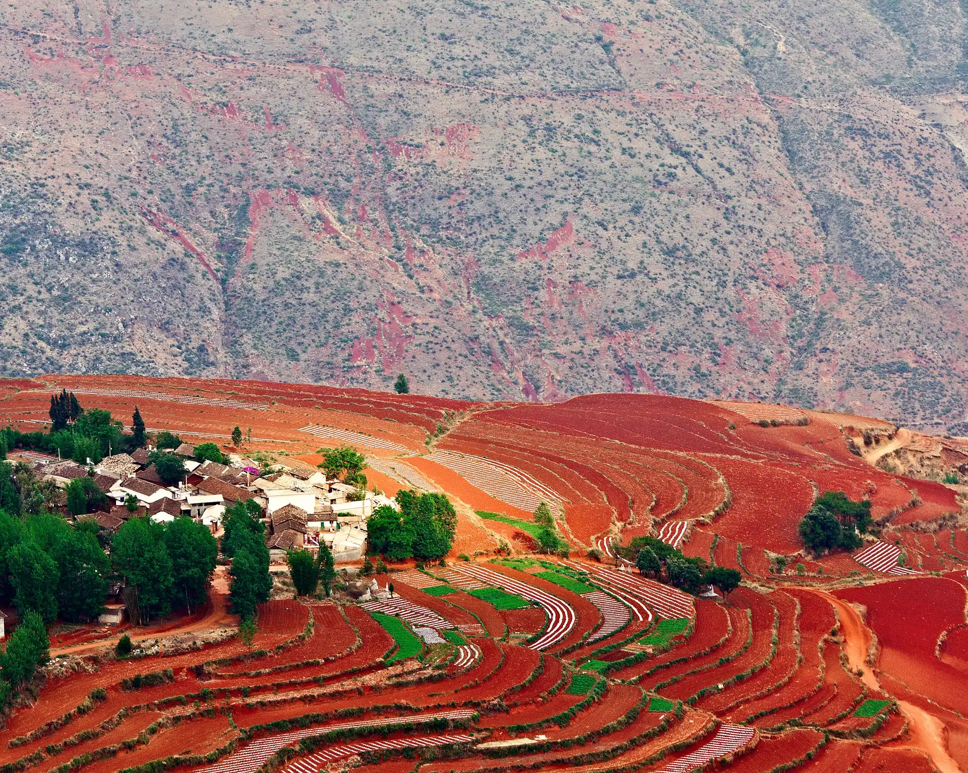 Panorama sur les collines aux terres rouges de Dongchuan bordées de cultures et de montagnes en Chine.