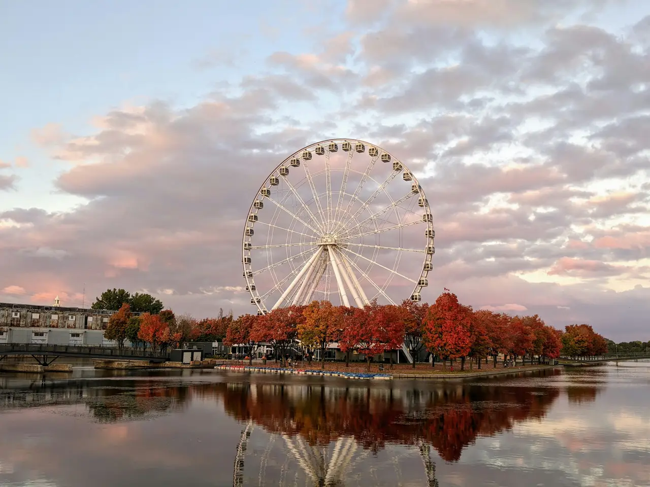 Grande Roue de Montréal se dressant derrière des arbres aux couleurs automnales au bord du bassin du Vieux-Port sous un ciel crépusculaire