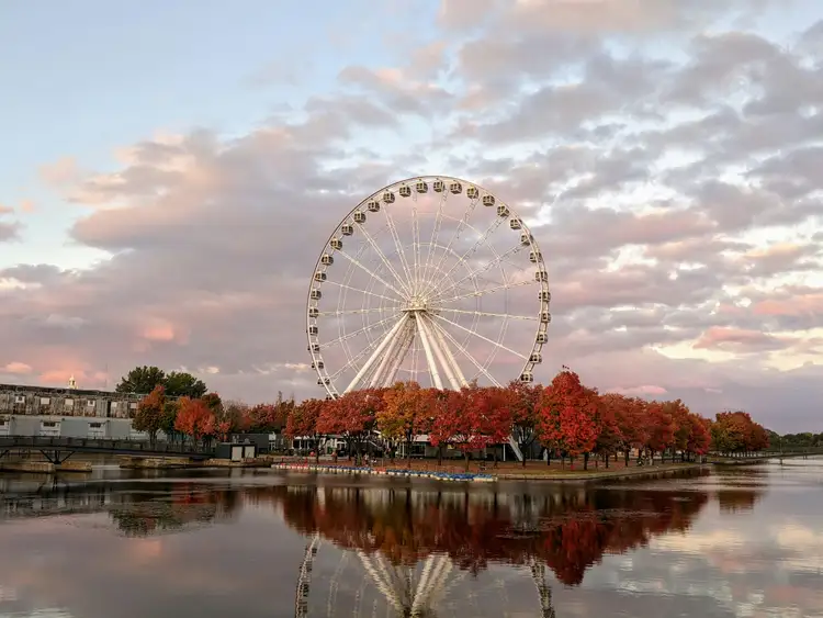 Grande Roue de Montréal se dressant derrière des arbres aux couleurs automnales au bord du bassin du Vieux-Port sous un ciel crépusculaire