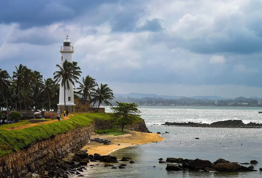 galle-5115527_1280.jpg
