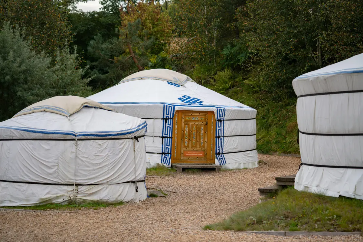 Campement de yourtes traditionnelles mongoles avec portes en bois sculpté