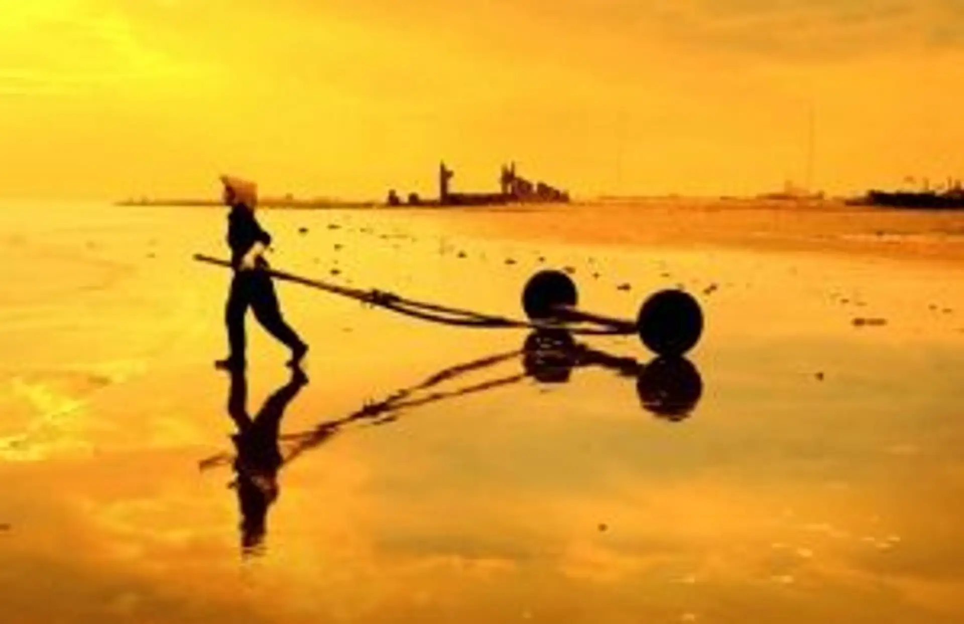 Travel in Asia - A shellfish collector working on a beach at sunset in Vietnam.