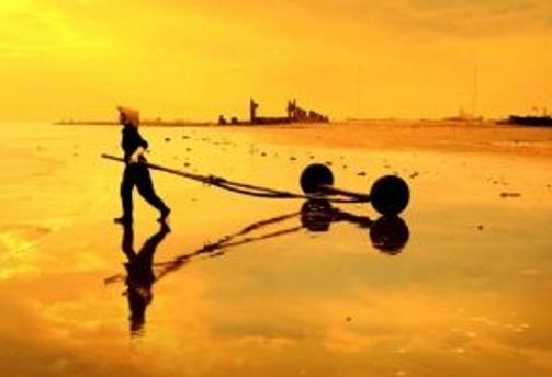 Travel in Asia - A shellfish collector working on a beach at sunset in Vietnam.