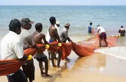 Travel in Asia - A group of fishermen in Sri Lanka doing traditional beach seine fishing