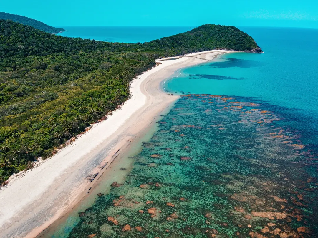 La Daintree Forest bordant la Grande Barrière de Corail en Australie