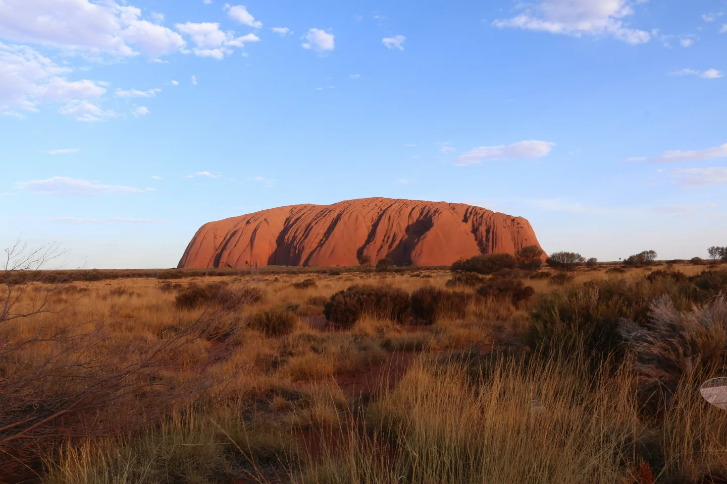 Vaste monolithe d'Uluru baigné par la lumière du soleil couchant au milieu de la végétation sauvage du désert