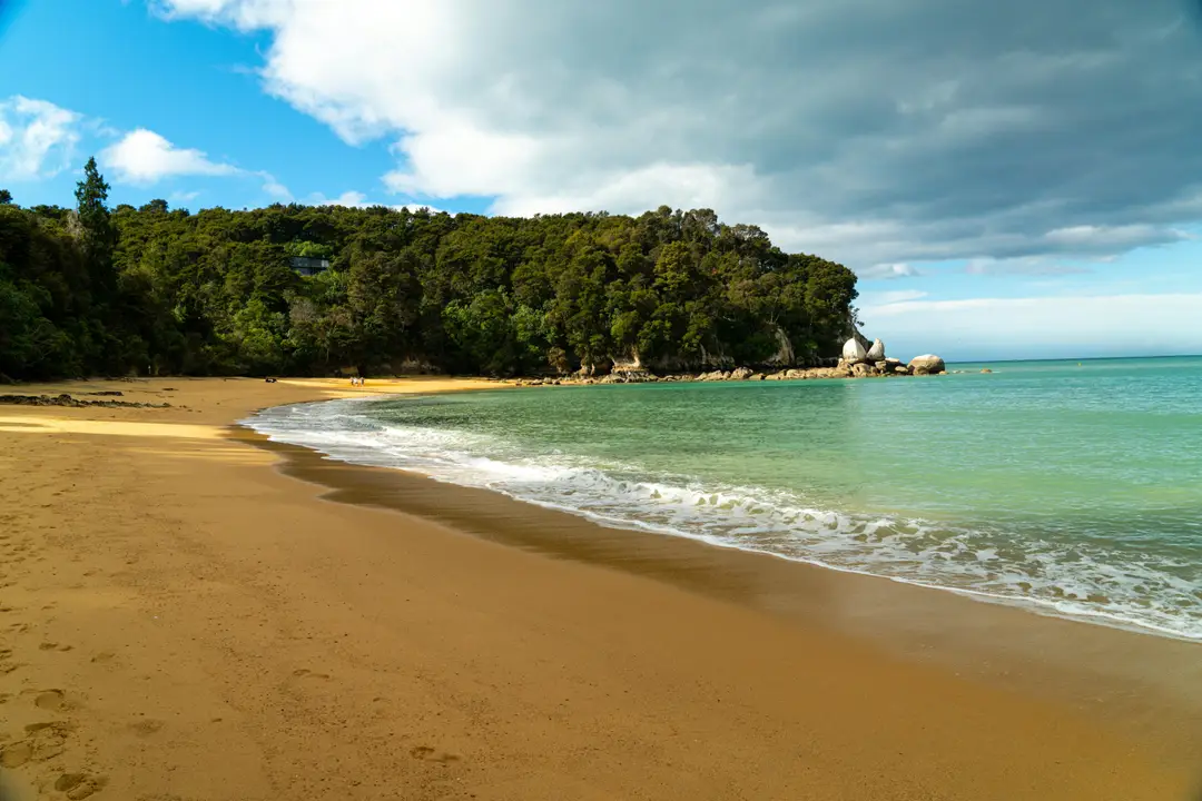 Plage de sable doré et eaux turquoise bordées par la forêt dense d'Abel Tasman, en Nouvelle-Zélande