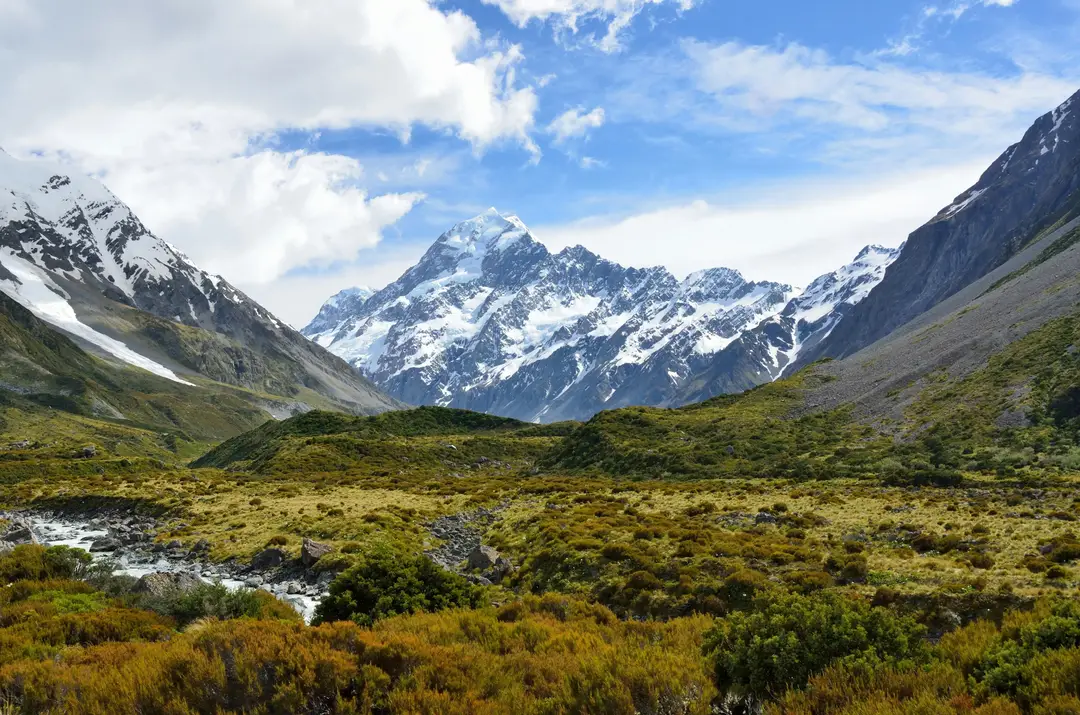 Vue imprenable sur le Mont Cook enneigé dominant une vallée sauvage et verdoyante en Nouvelle-Zélande