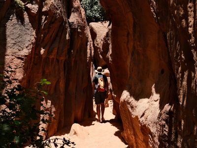 Les plus beaux treks et randonnées en Jordanie