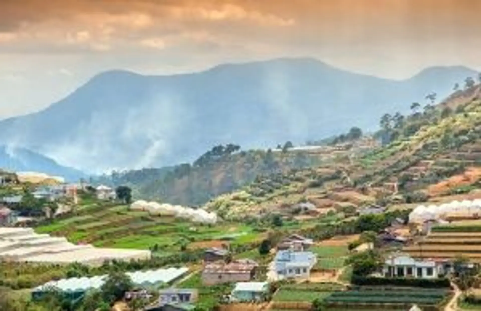 Travel in Asia - High-angle view of a village's terraced rice paddies in Dalat, Vietnam