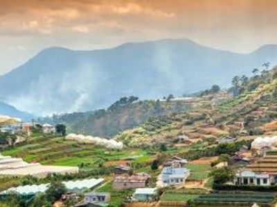 Vietnamese Language Basics for Travelers