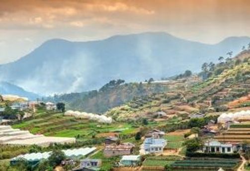 Travel in Asia - High-angle view of a village's terraced rice paddies in Dalat, Vietnam