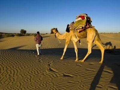 Vous allez aimer ces activités en Inde du Nord