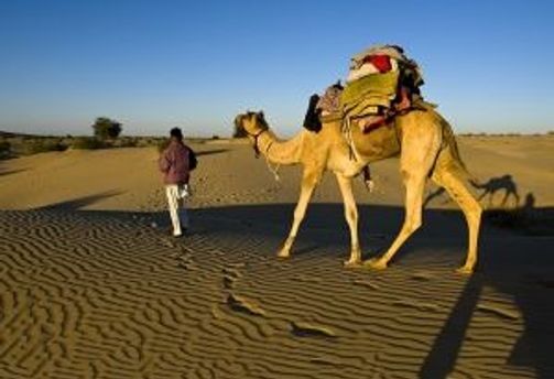 Voyage en Asie - Activités authentiques en Inde du Nord, Delhi, Jaipur et Rajasthan avec guide local